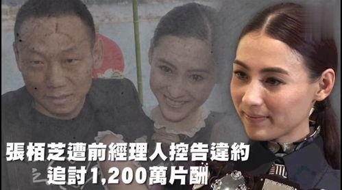 娱乐吃瓜用的音乐叫什么,揭秘流行乐坛的“瓜田乐章”