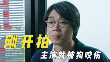 娱乐吃瓜君866,揭秘娱乐圈最新热点事件