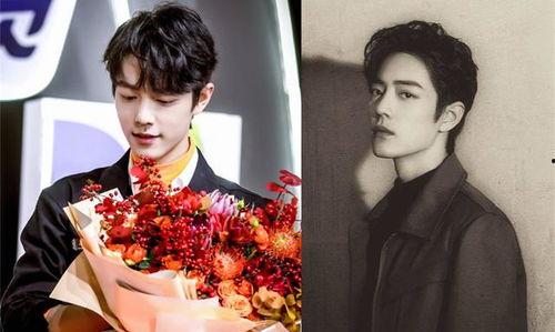 吃瓜娱乐圈广告图案,揭秘明星广告背后的秘密