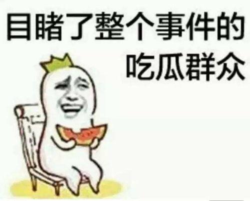 娱乐吃瓜小象小说在线阅读,揭秘娱乐圈背后的秘密