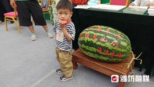 娱乐吃瓜带货,娱乐圈吃瓜达人带你解锁明星带货新姿势