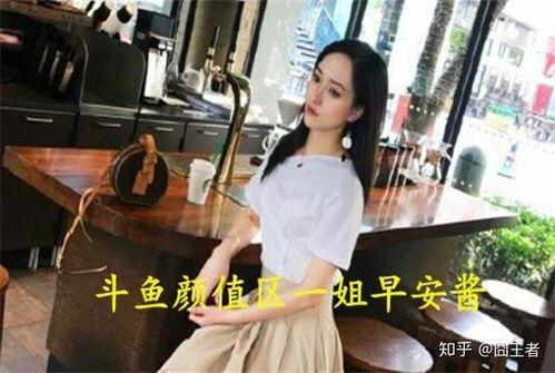 娱乐圈搬凳子吃瓜