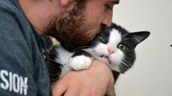 吃瓜娱乐的喵哥是谁呀,吃瓜娱乐界的神秘喵星人