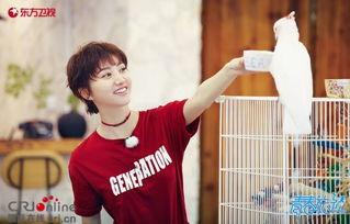 王源吃瓜娱乐圈