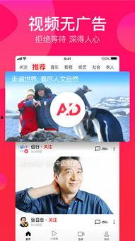 吃瓜娱乐精选视频下载免费