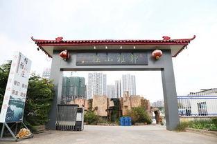 娱乐吃瓜酱临沂大学