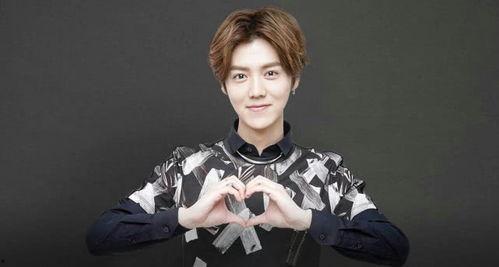 网易娱乐频道鹿晗吃瓜,娱乐圈新热点引发网友热议